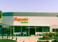 Begonia Garden Centre 