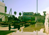 Begonia Garden Centre 