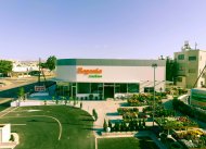 Begonia Garden Centre 