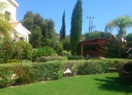 Cyprus  Landscaping -  Pafos & Limassol area